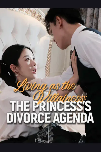Living as the Villainess: The Princess's Divorce Agenda cover from reference catalogue