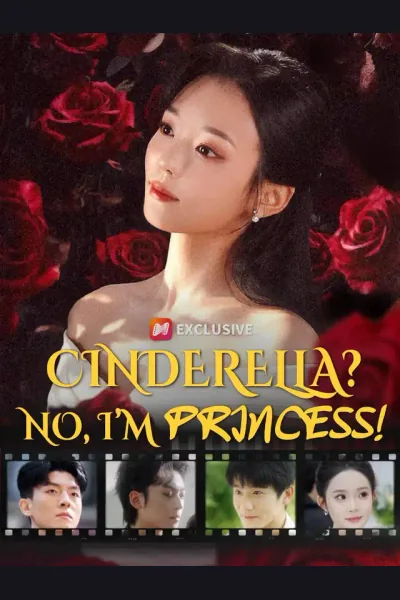 Cinderella? No, I’m Princess! cover from reference catalogue